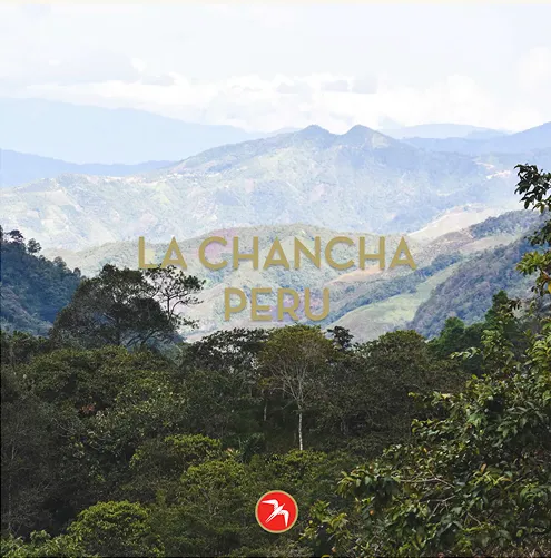 Lush green forest with distant mountains and the text 'La Chancha Peru' overlaid.
